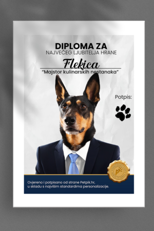 Diploma poster