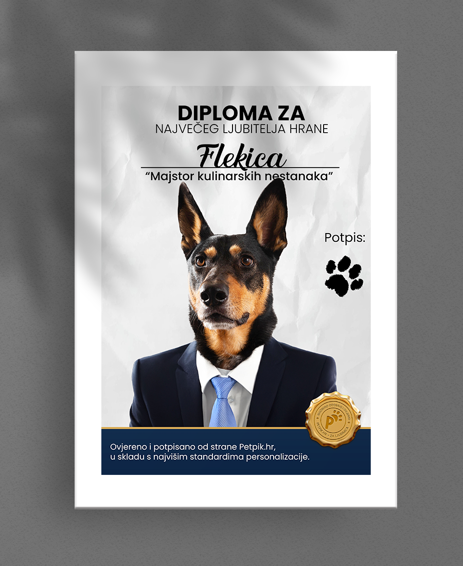 1. Diploma 1. Diploma