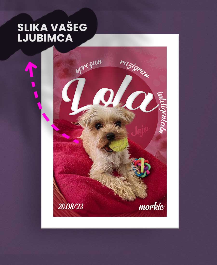 0.-Personalizirani-poster2 0.-Personalizirani-poster2